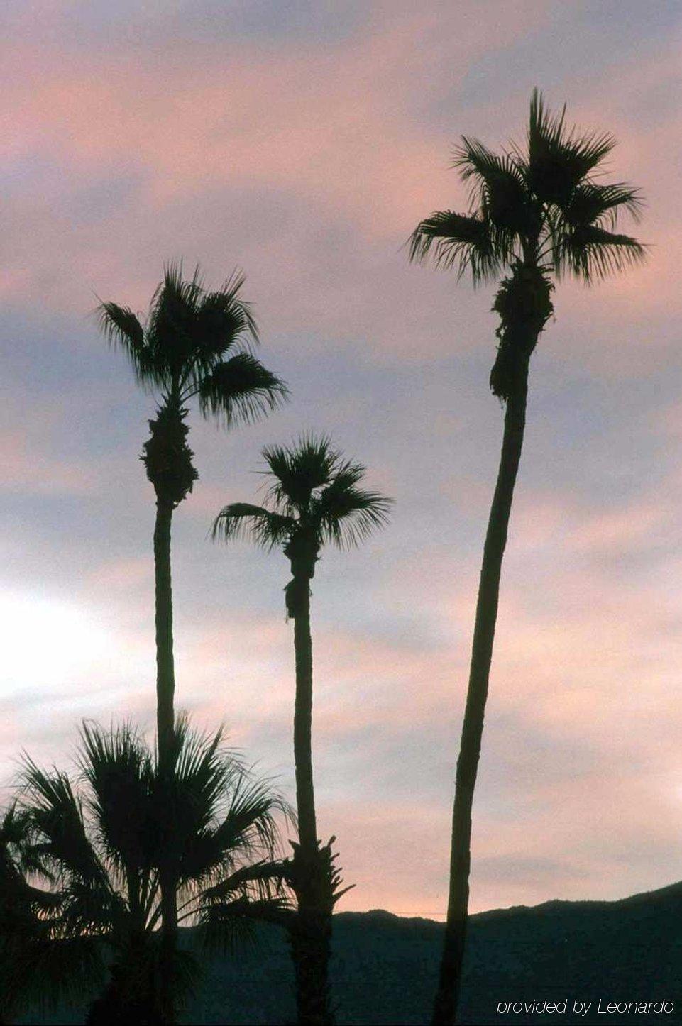 Hotel Hilton Garden Palm Springs/rancho Mirage Rancho Mirage
